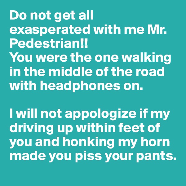Do not get all exasperated with me Mr. Pedestrian!! 
You were the one walking in the middle of the road with headphones on. 

I will not appologize if my driving up within feet of you and honking my horn made you piss your pants. 