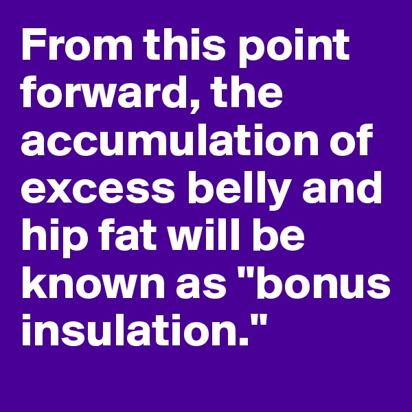 From this point forward, the accumulation of excess belly and hip fat will be known as "bonus insulation."