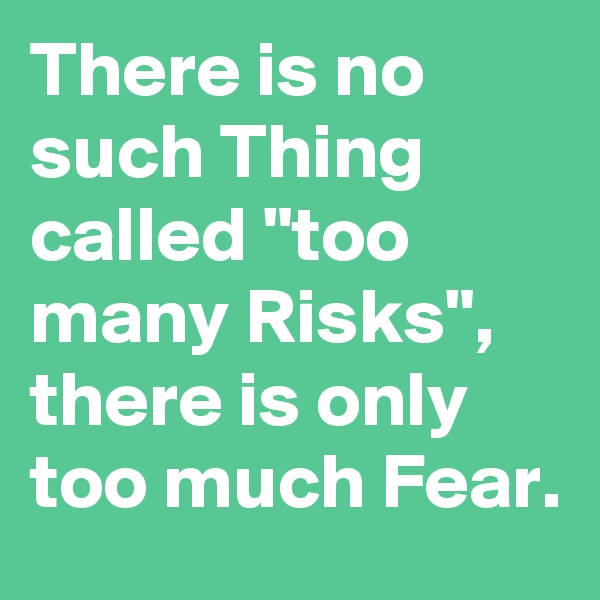 There is no such Thing called "too many Risks", there is only too much Fear.