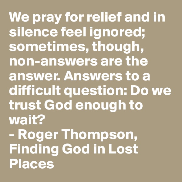 We pray for relief and in silence feel ignored; sometimes, though, non-answers are the answer. Answers to a difficult question: Do we trust God enough to wait?
- Roger Thompson, Finding God in Lost Places