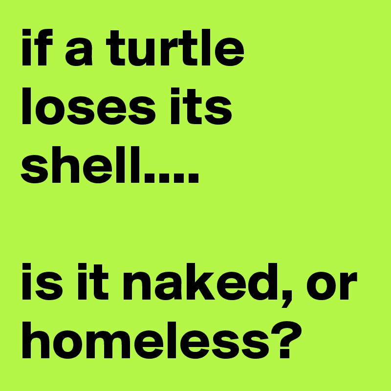 if a turtle loses its shell....

is it naked, or homeless?