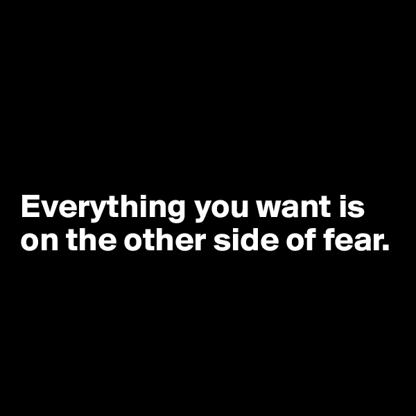 




Everything you want is on the other side of fear.



