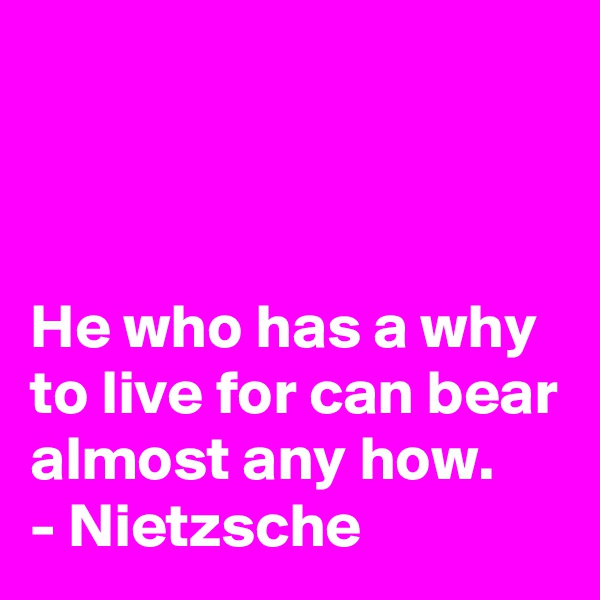 



He who has a why to live for can bear almost any how.
- Nietzsche