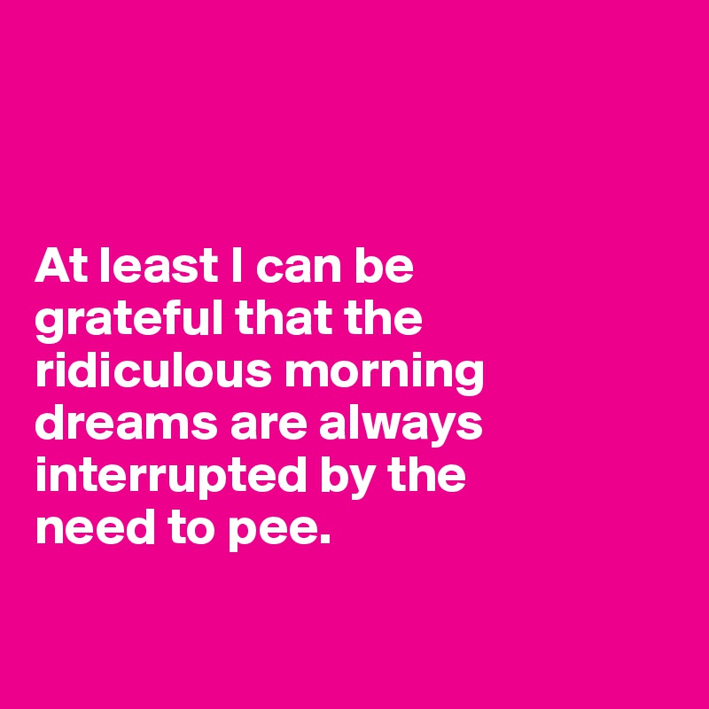 



At least I can be 
grateful that the
ridiculous morning dreams are always interrupted by the
need to pee. 


