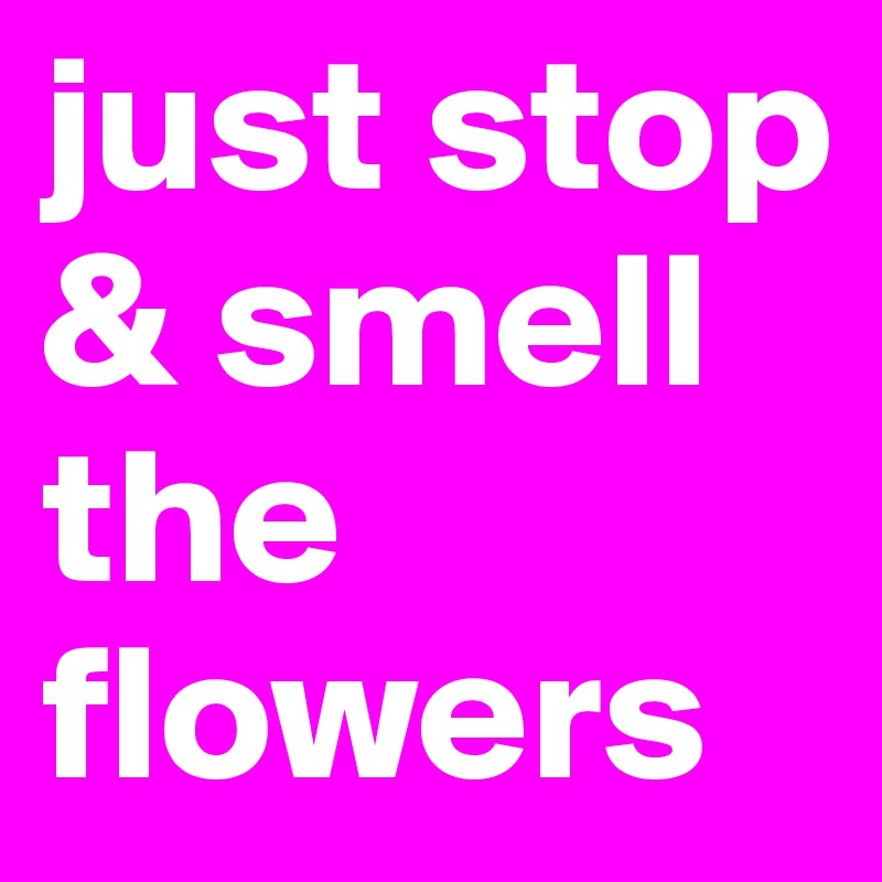 just stop       & smell      the flowers
