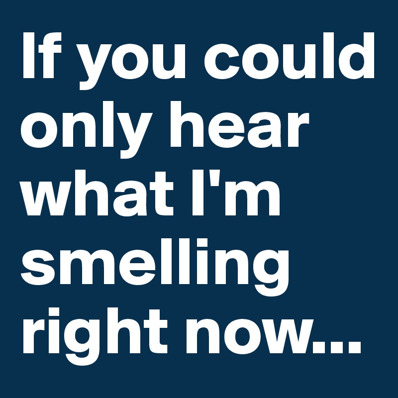 If you could only hear what I'm smelling right now...