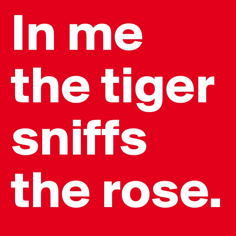 In me the tiger sniffs the rose. 