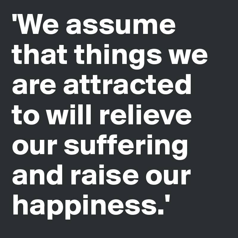 'We assume that things we are attracted to will relieve our suffering and raise our happiness.'
