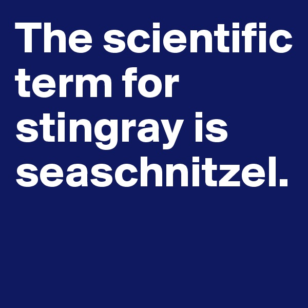 The scientific term for stingray is seaschnitzel. 


