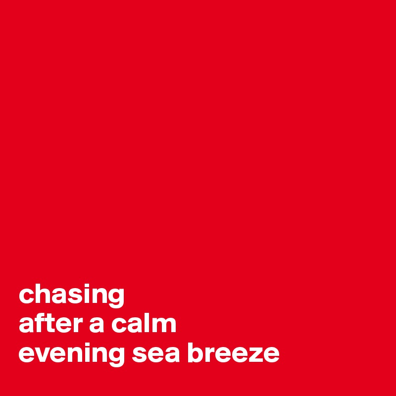 








chasing 
after a calm 
evening sea breeze