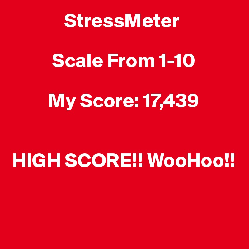              StressMeter

          Scale From 1-10

         My Score: 17,439


HIGH SCORE!! WooHoo!!


