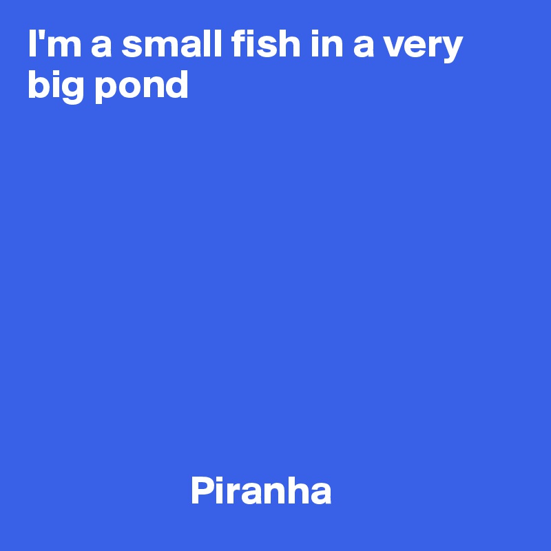 I'm a small fish in a very big pond 







 
                                                           
                    Piranha