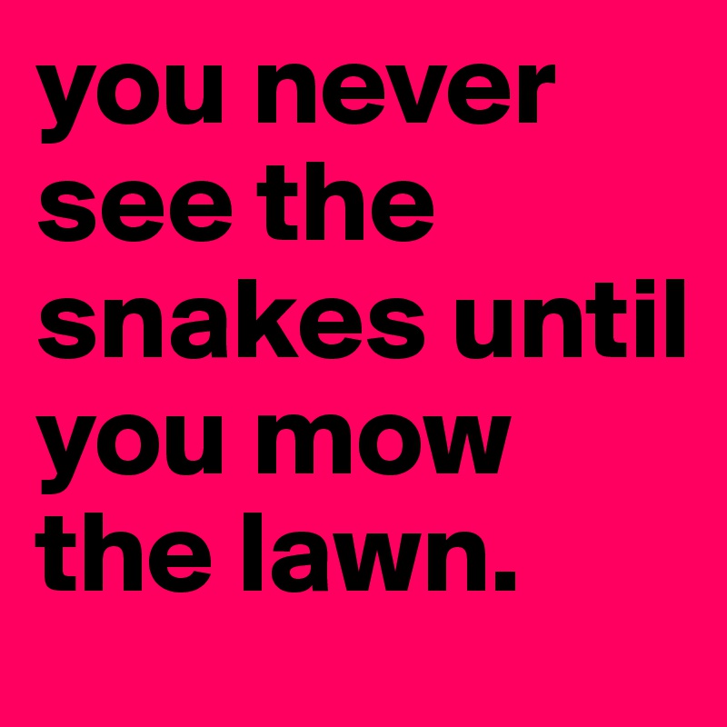 you never see the snakes until you mow the lawn.  
