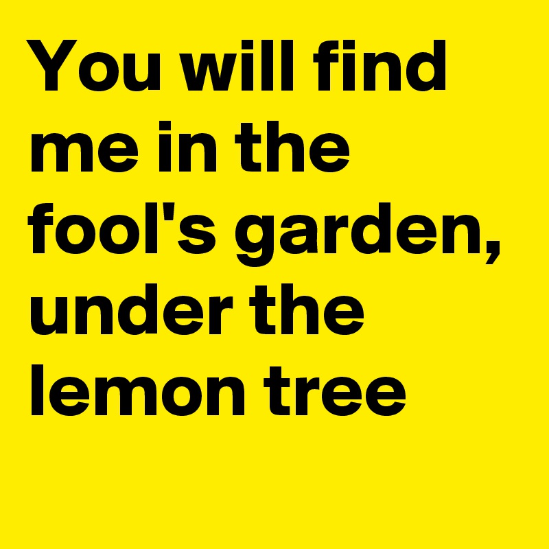 You will find me in the fool's garden, under the lemon tree
