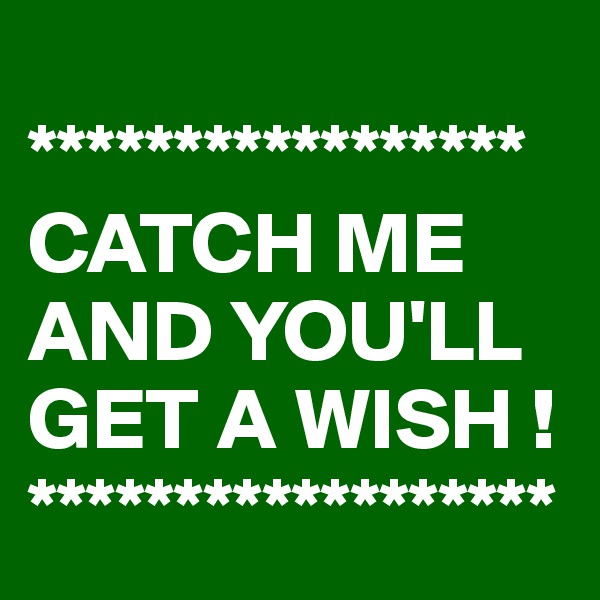 
*****************
CATCH ME AND YOU'LL GET A WISH !   
******************