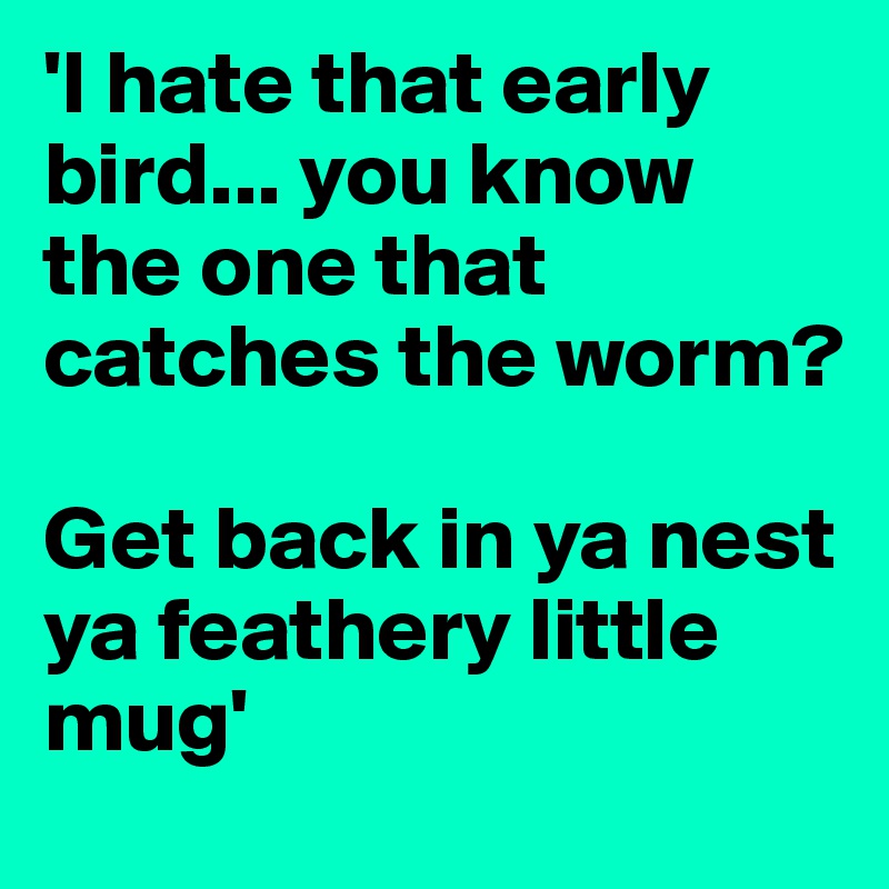 'I hate that early bird... you know the one that catches the worm?

Get back in ya nest ya feathery little mug'