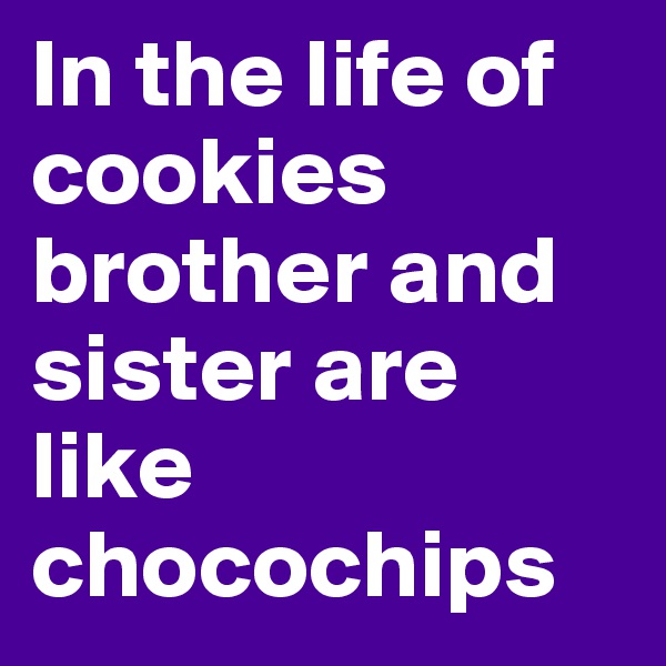 In the life of cookies brother and sister are like chocochips 