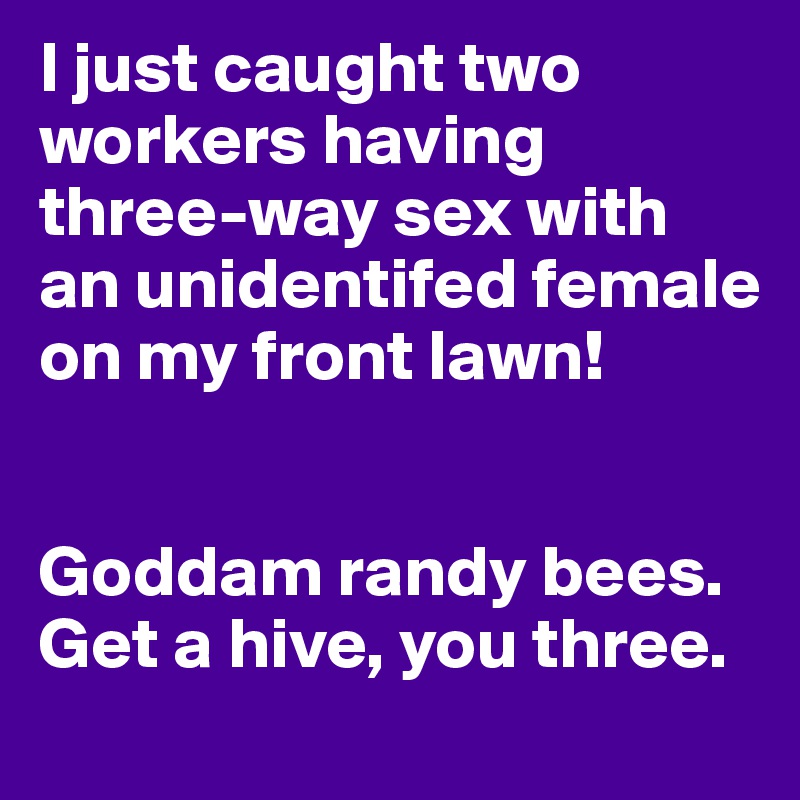 I just caught two workers having three-way sex with an unidentifed female on my front lawn!


Goddam randy bees. Get a hive, you three.