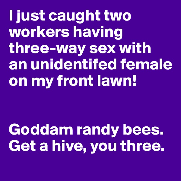I just caught two workers having three-way sex with an unidentifed female on my front lawn!


Goddam randy bees. Get a hive, you three.