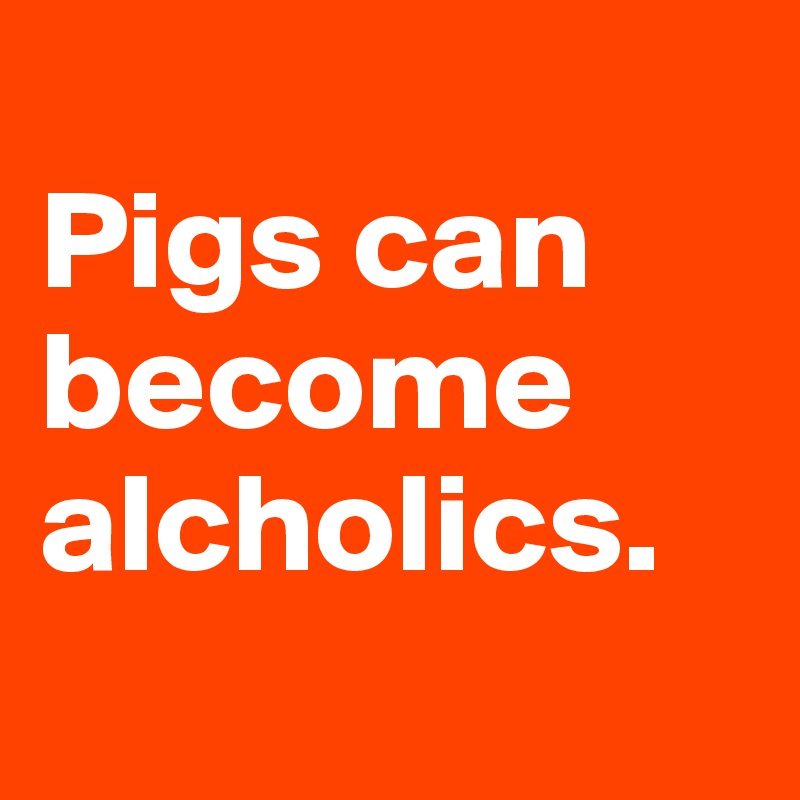 
Pigs can become alcholics.
