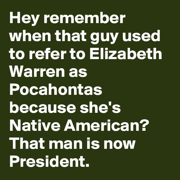 Hey remember when that guy used to refer to Elizabeth Warren as Pocahontas because she's Native American? That man is now President.