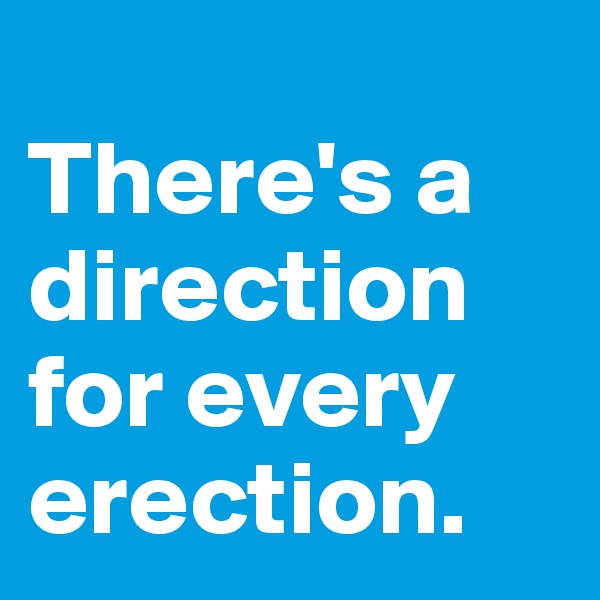 
There's a direction for every erection.