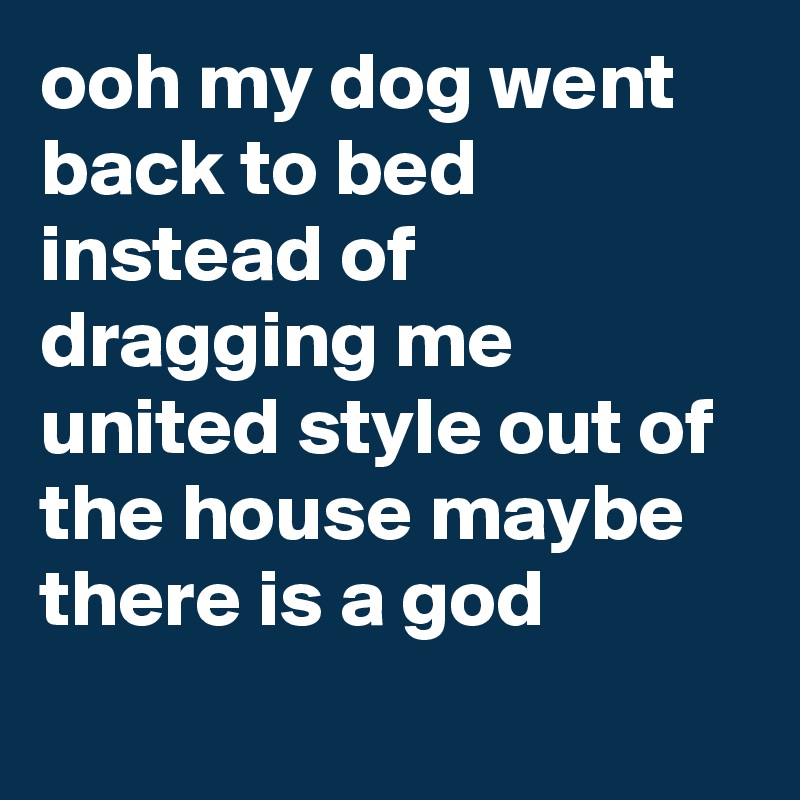 ooh my dog went back to bed instead of dragging me united style out of the house maybe there is a god