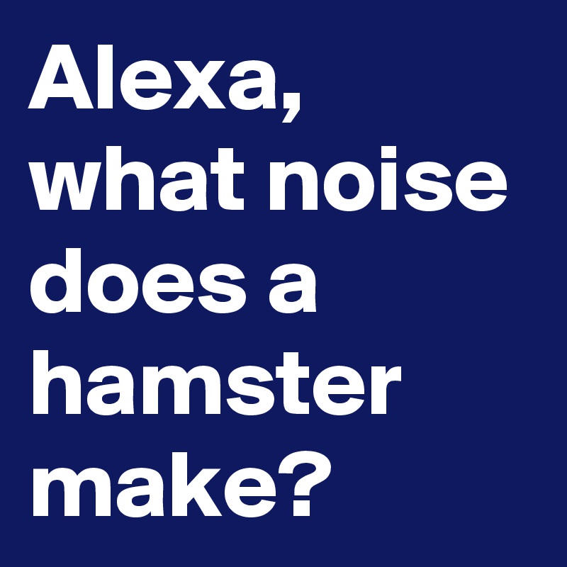 Alexa, what noise does a hamster make? 