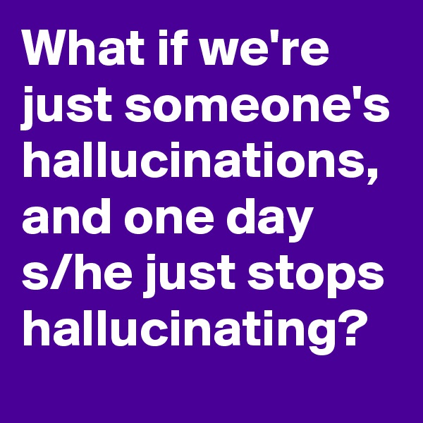 What if we're just someone's hallucinations, and one day s/he just stops hallucinating? 