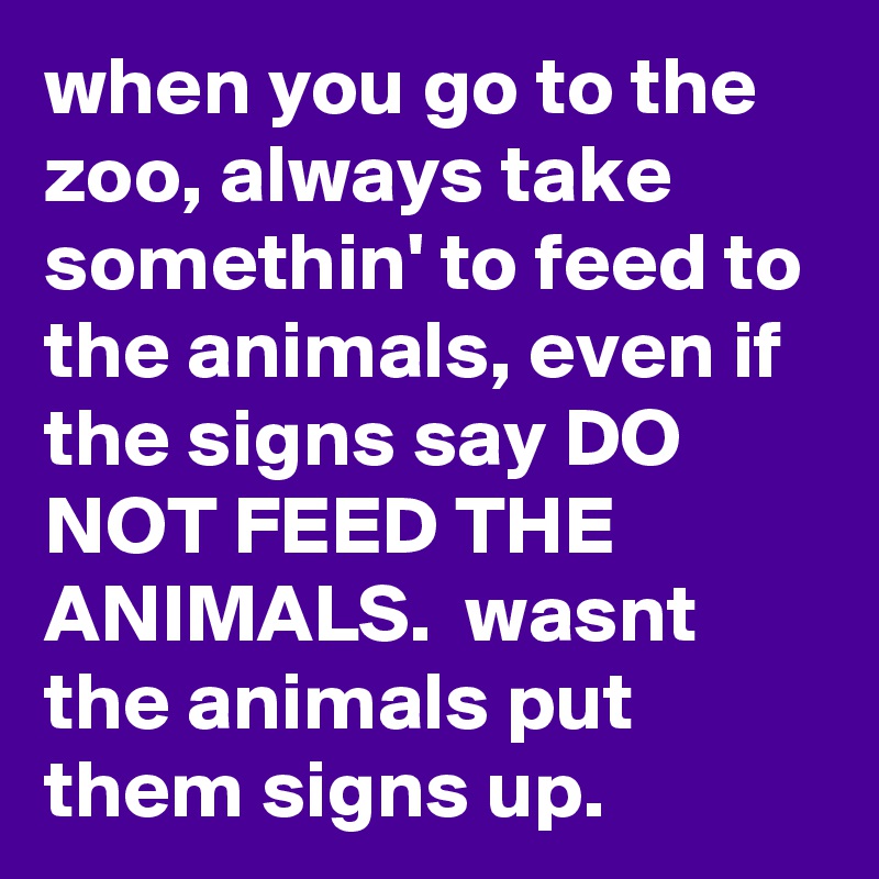 when you go to the zoo, always take somethin' to feed to the animals, even if the signs say DO NOT FEED THE ANIMALS.  wasnt the animals put them signs up.