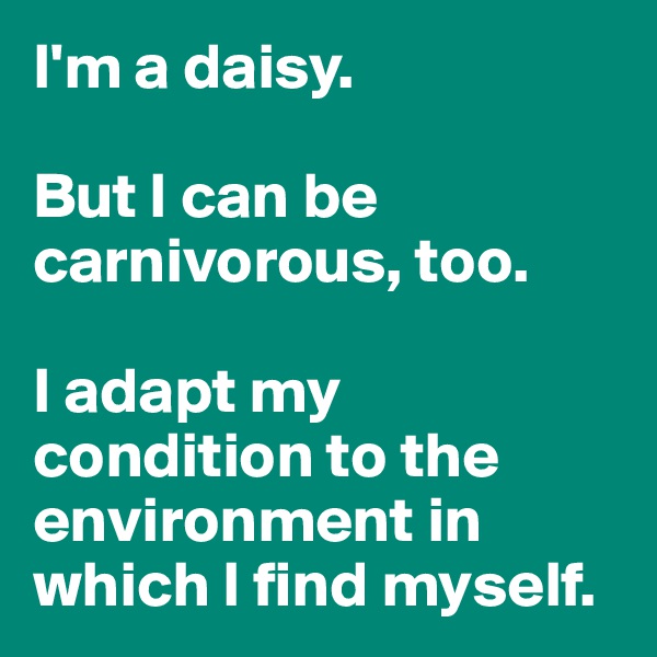 I'm a daisy. 

But I can be carnivorous, too. 

I adapt my condition to the environment in which I find myself. 
