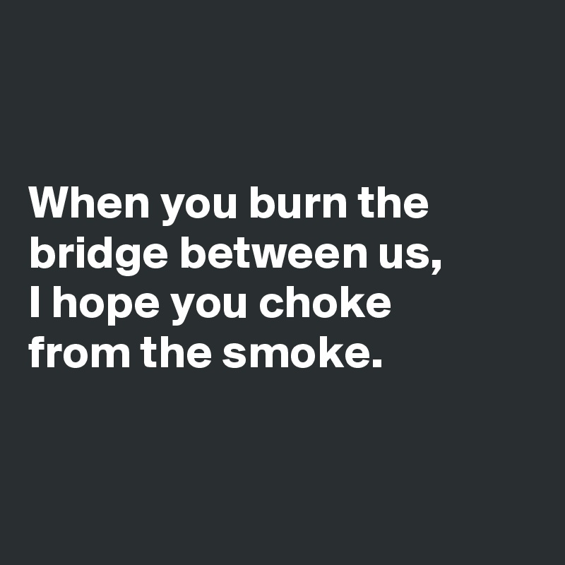 


When you burn the bridge between us,
I hope you choke 
from the smoke.


