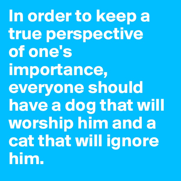 In order to keep a true perspective
of one's importance, everyone should
have a dog that will worship him and a
cat that will ignore him.