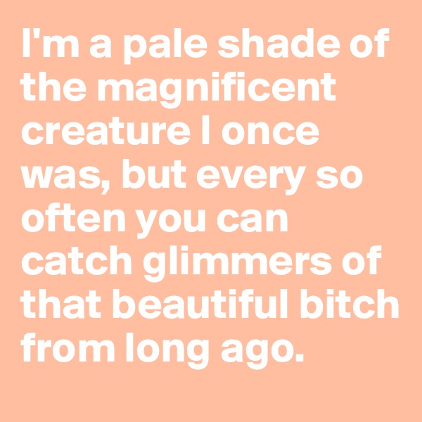 I'm a pale shade of the magnificent creature I once was, but every so often you can catch glimmers of that beautiful bitch from long ago.