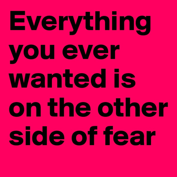 Everything you ever wanted is on the other side of fear