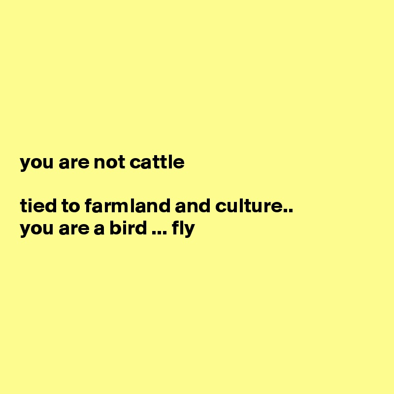 





you are not cattle

tied to farmland and culture..
you are a bird ... fly





