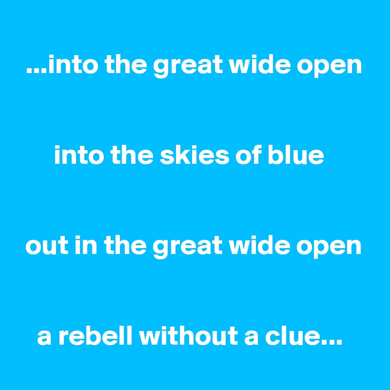 
 ...into the great wide open


      into the skies of blue


 out in the great wide open


   a rebell without a clue...