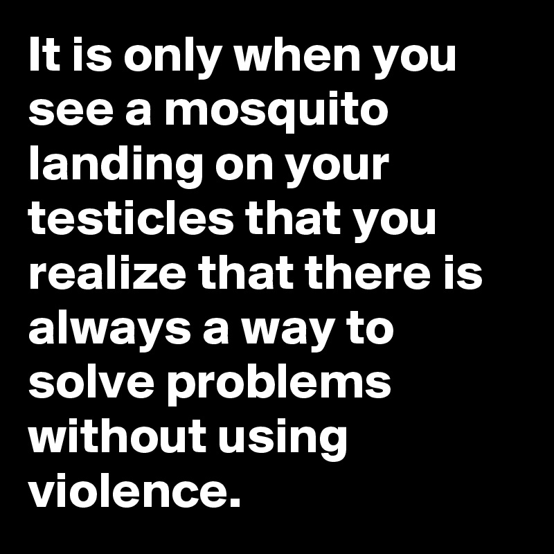 It is only when you see a mosquito landing on your
testicles that you realize that there is always a way to
solve problems without using violence.