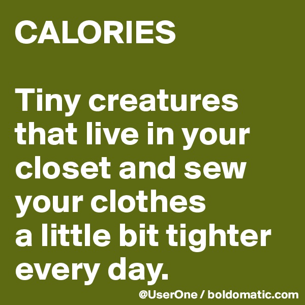 CALORIES

Tiny creatures that live in your closet and sew your clothes
a little bit tighter every day. 