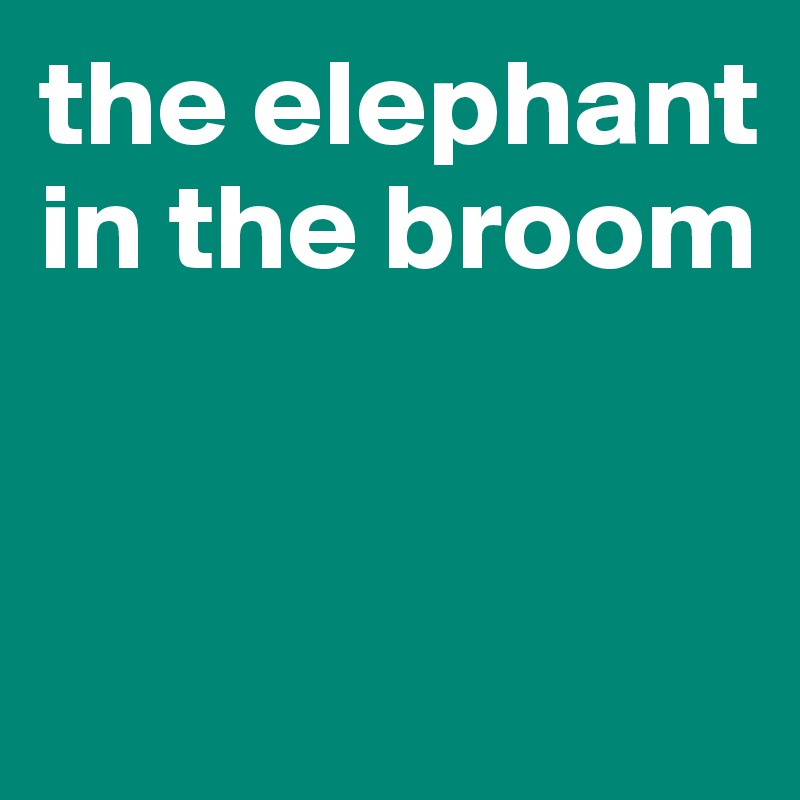 the elephant in the broom


