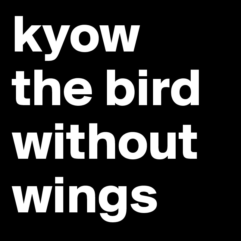kyow the bird without wings