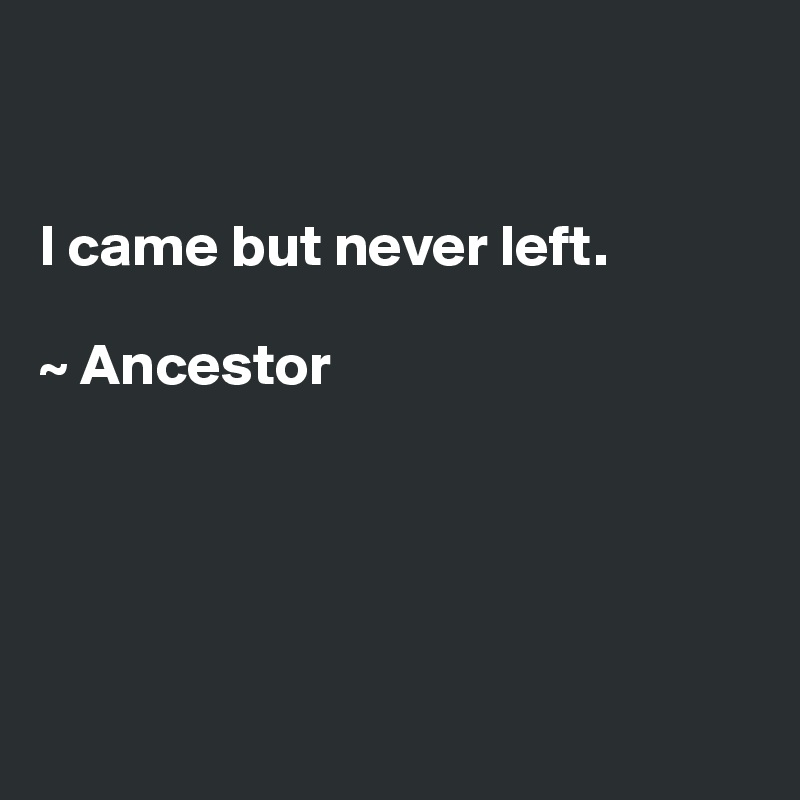 


I came but never left. 

~ Ancestor 





