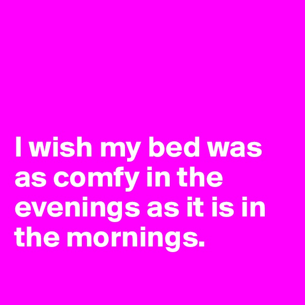 



I wish my bed was as comfy in the evenings as it is in the mornings.
