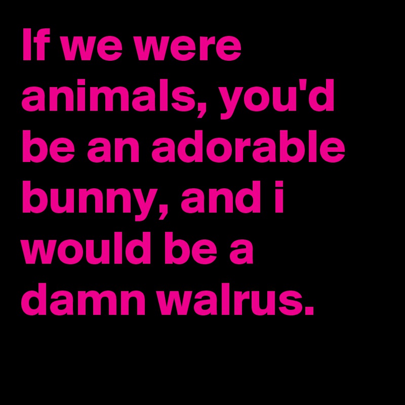 If we were animals, you'd be an adorable bunny, and i would be a damn walrus. 
