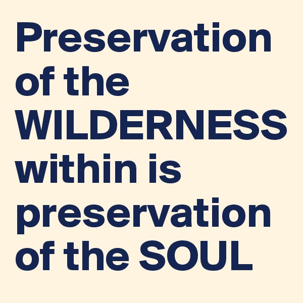 Preservation of the WILDERNESS  
within is  
preservation 
of the SOUL