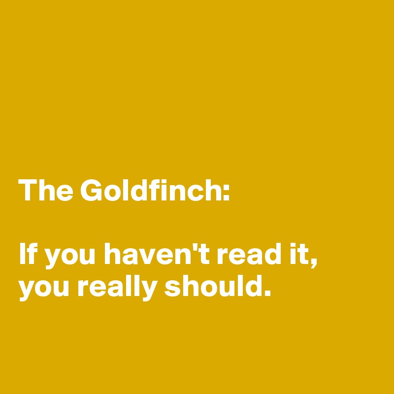 




The Goldfinch: 

If you haven't read it, 
you really should. 

