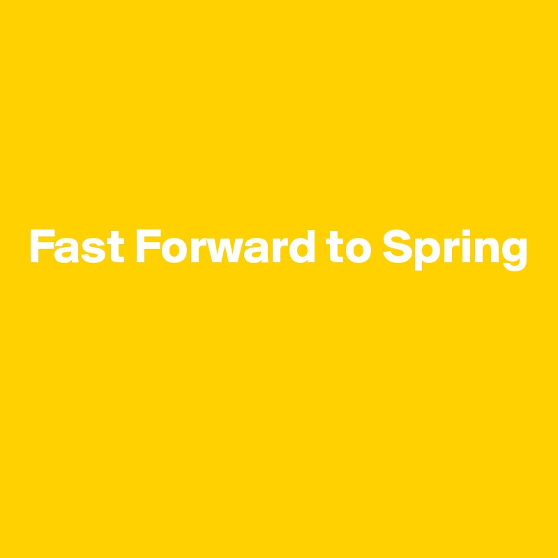 



Fast Forward to Spring




