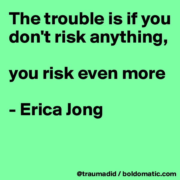 The trouble is if you
don't risk anything, 

you risk even more
 
- Erica Jong

