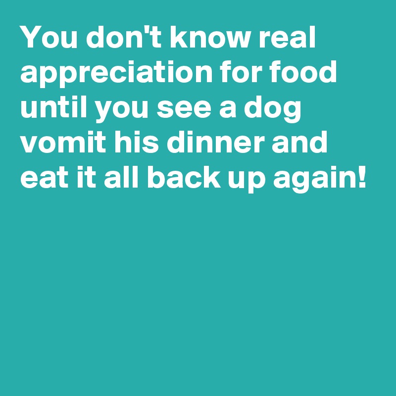 You don't know real appreciation for food until you see a dog vomit his dinner and eat it all back up again!




