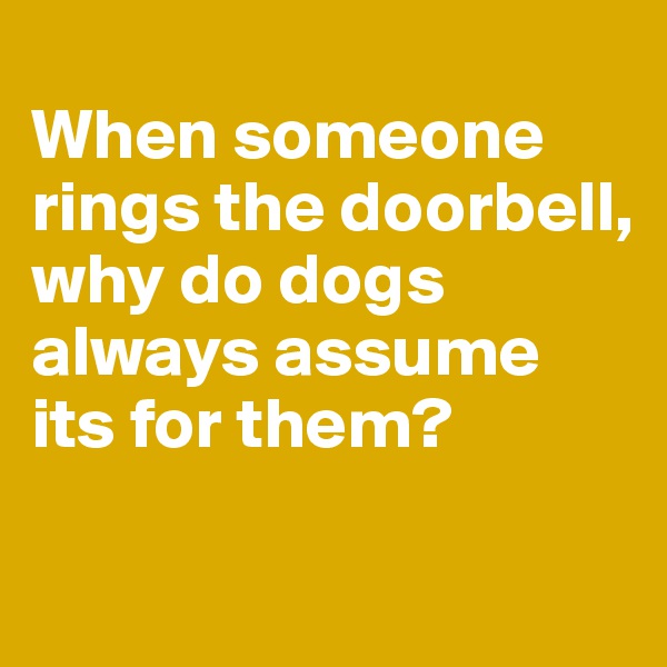 
When someone rings the doorbell, why do dogs always assume its for them?

